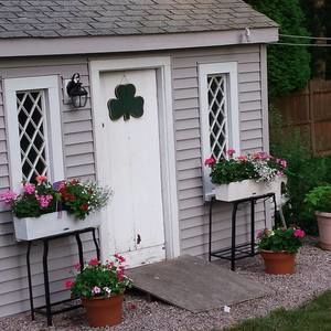 Meet your Posher, Elizabeth